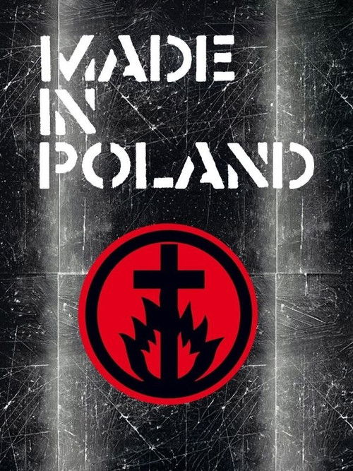 Made in Poland (2010) poster