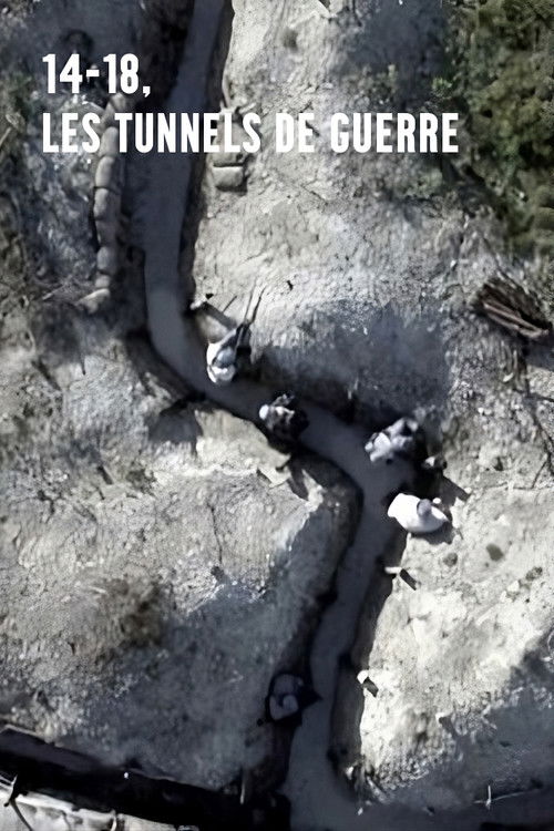 14-18, les tunnels de guerre (2017) poster