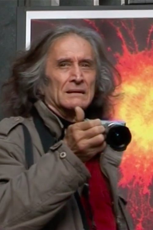 Into the Wild (2011) poster