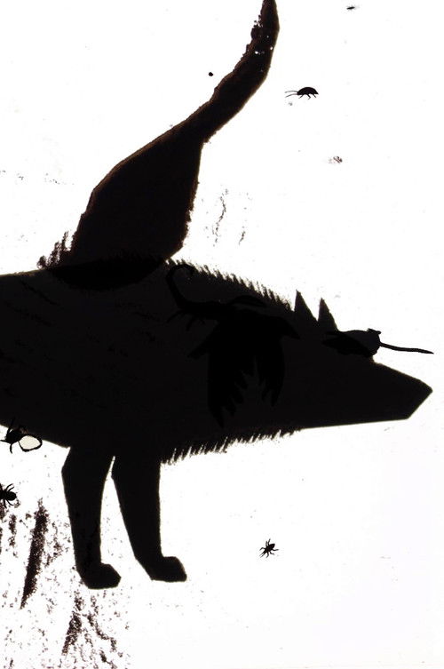 From Under Which Rock Did They Crawl Out (2018) poster