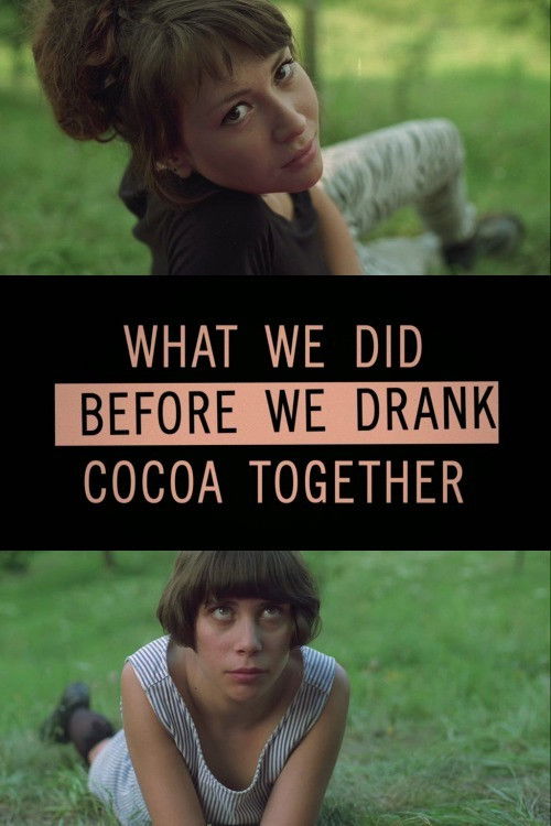 What we did before we drank cocoa together (2015) poster