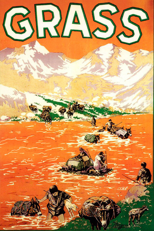 Çimenler; Bir Halkın Yaşam Mücadelesi (1925) poster