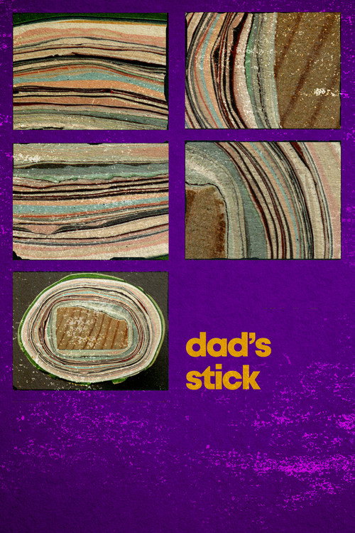 Dad's Stick (2012) poster