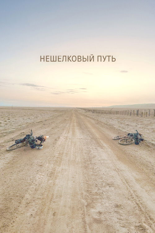 Нешёлковый путь (2024) poster