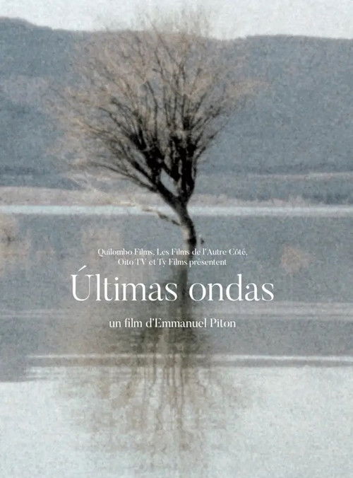Últimas ondas (2019) poster