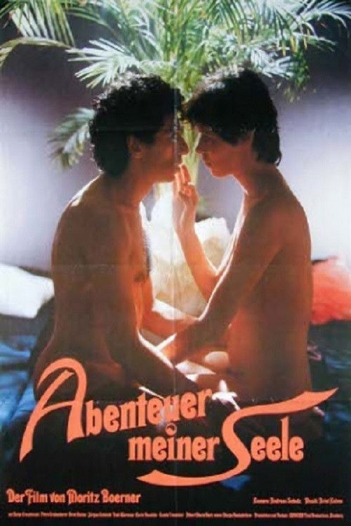 An Adventure of the Soul (1984) poster