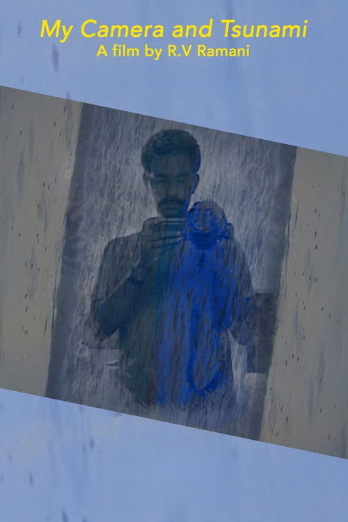 My Camera and Tsunami (2011) poster