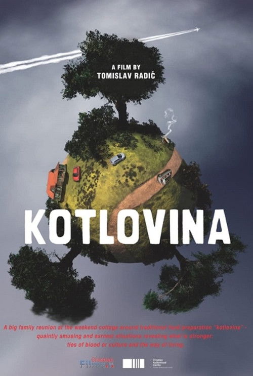 Kotlovina (2011) poster