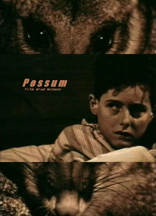 Possum (1997) poster