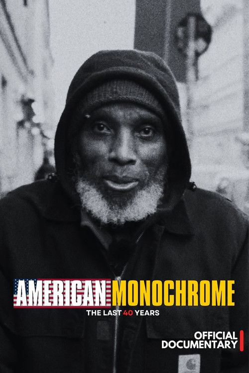 American Monochrome (2022) poster
