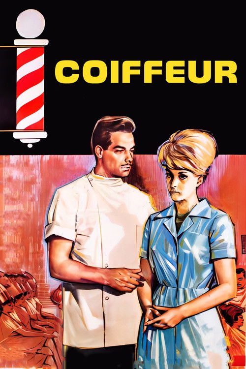 Kadın Berberi (1964) poster