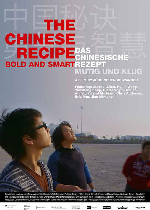 The Chinese Recipe: Bold and Smart (2016) poster