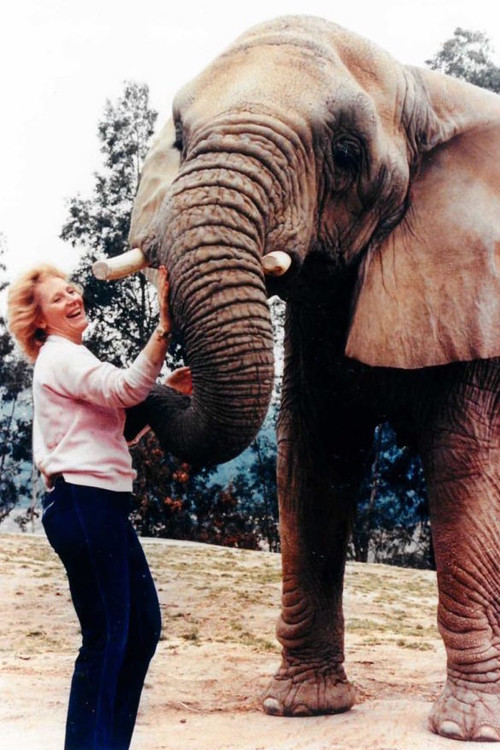 I Talk to Animals (1990) poster