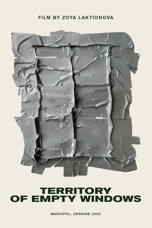 Territory of Empty Windows (2020) poster