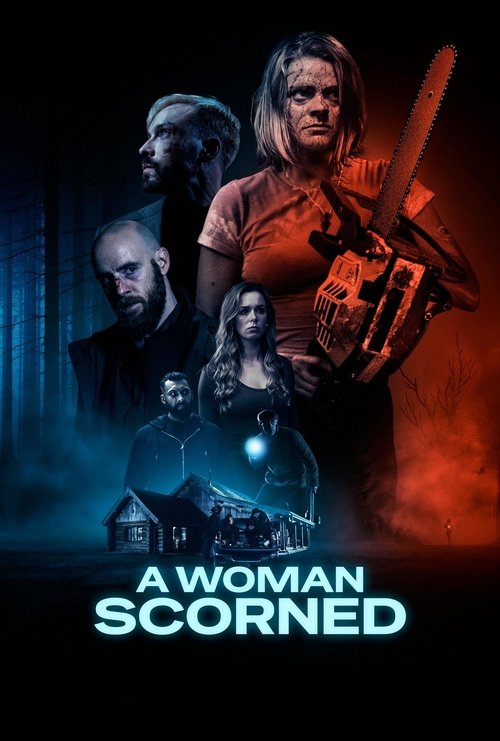 A Woman Scorned (2025) poster