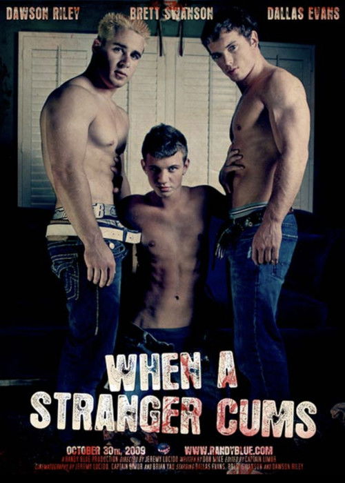 When A Stranger Cums (2009) poster