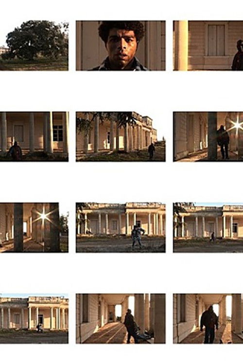 The White House (2006) poster