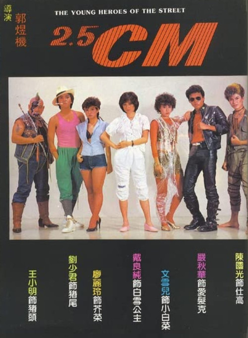 The Young Heroes of the Street (1982) poster