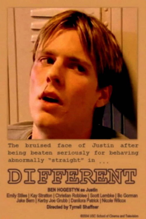 Different (2004) poster