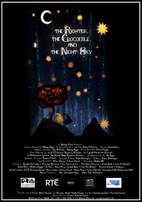 The Rooster, the Crocodile and the Night Sky (2011) poster