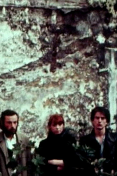 Terzake (1977) poster