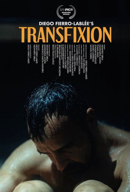 Transfixion poster