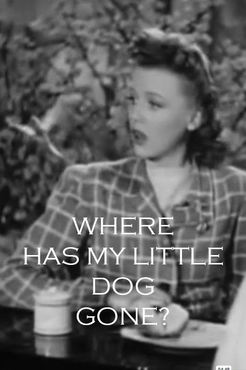 Where Has My Little Dog Gone (1942) poster