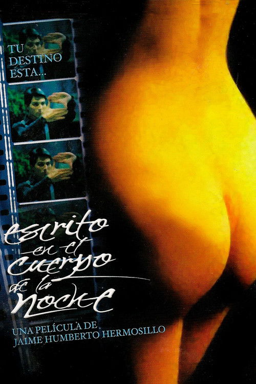 Written on the Body of Night (2001) poster