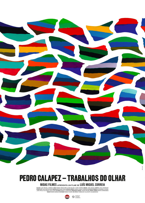 Pedro Calapez: Trabalhos do Olhar (2010) poster