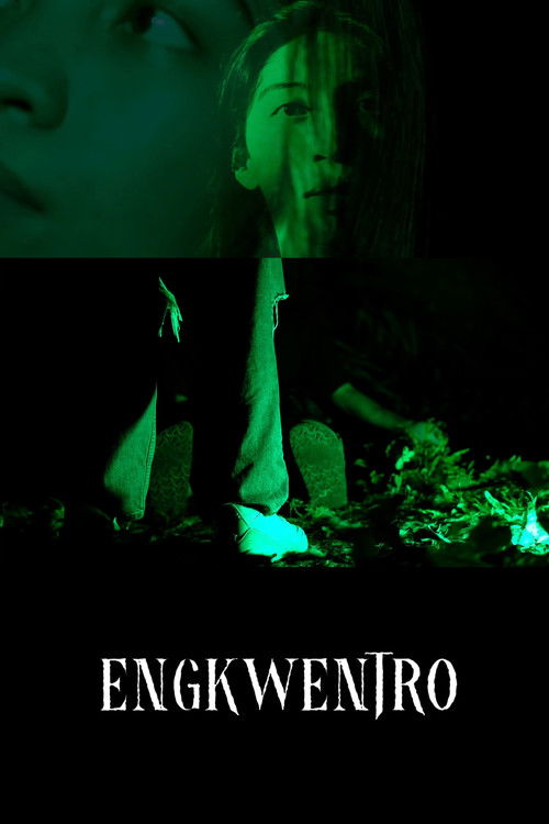 Encounter (2023) poster