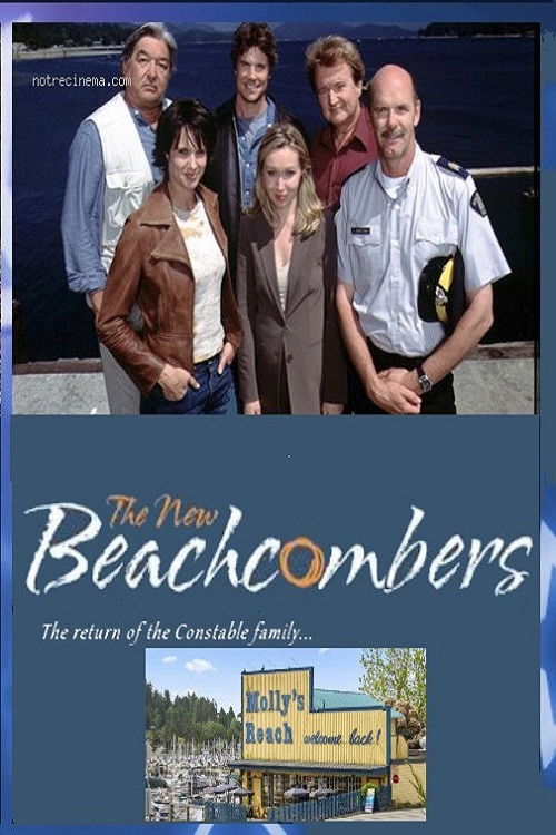 The New Beachcombers (2002) poster
