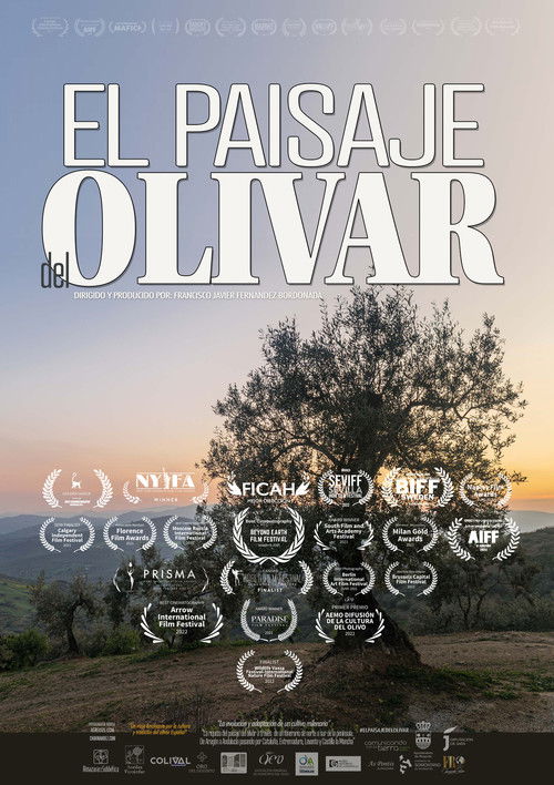 El paisaje del olivar (2024) poster