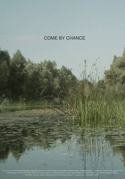 Come by Chance (2017) poster