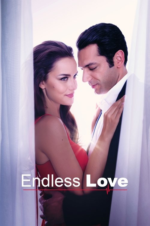 Endless Love (2017) poster