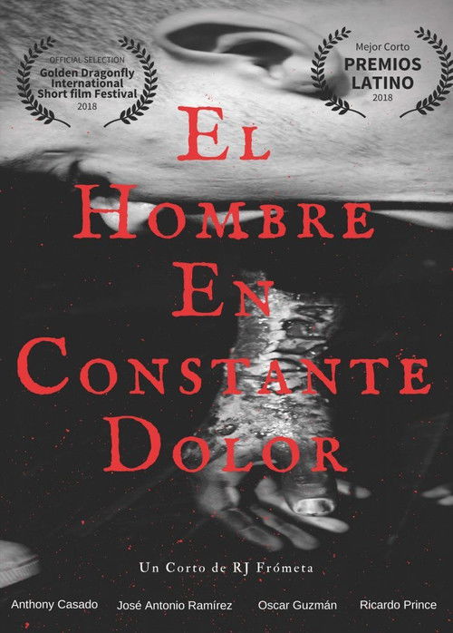 The Man in Constant Sorrow (2019) poster