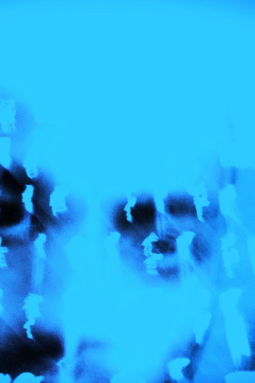 NOVO JOGO DO BOLSONARO (2024) poster