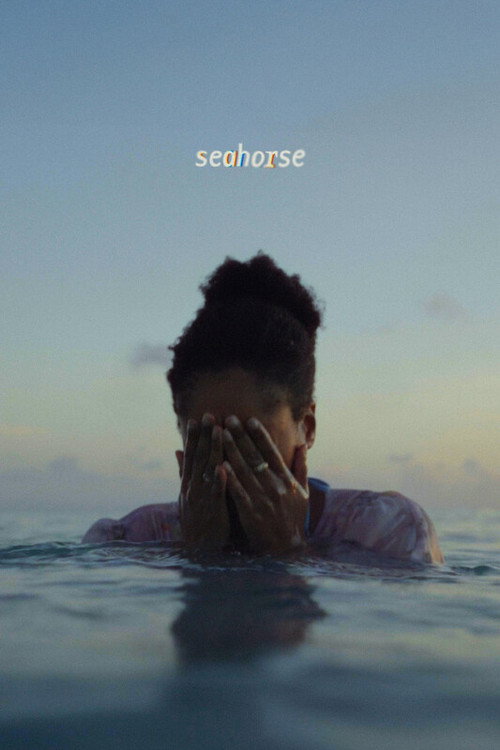 Seahorse (2026) poster