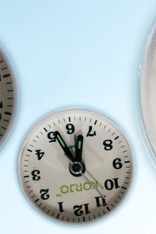 Dyschronometria (2022) poster