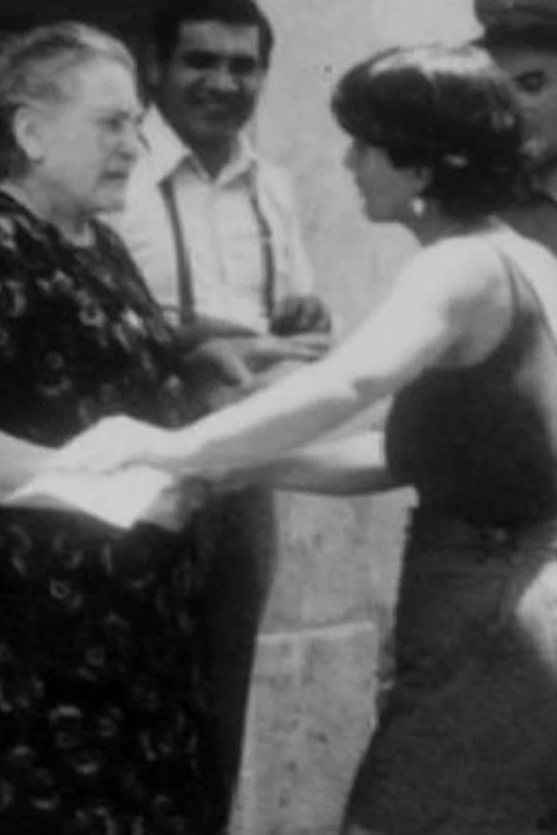 Julie from Ohio (1978) poster