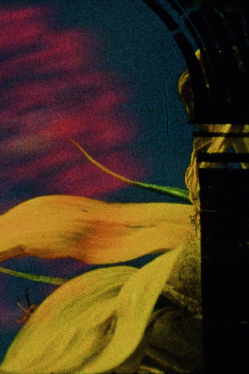 Dans les Cieux et Sur la Terre (2022) poster