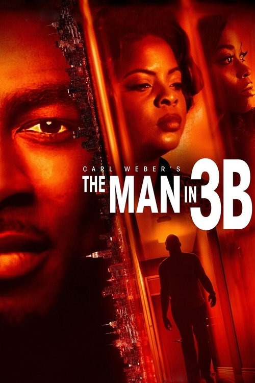 The Man in 3B (2015) poster