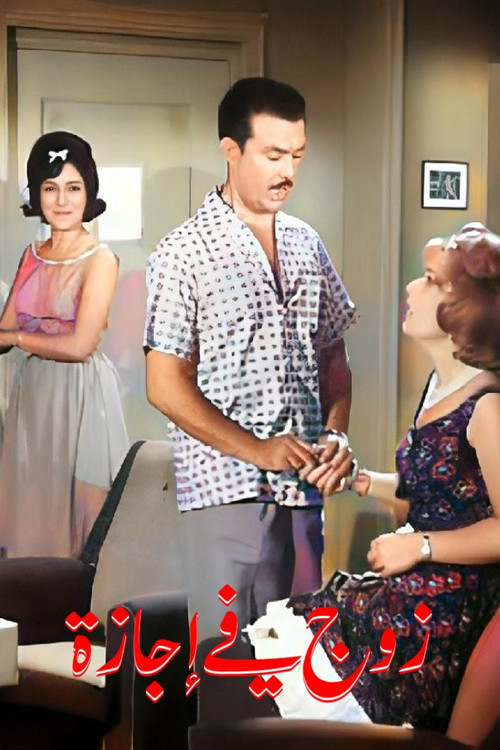 زوج في اجازة (1964) poster