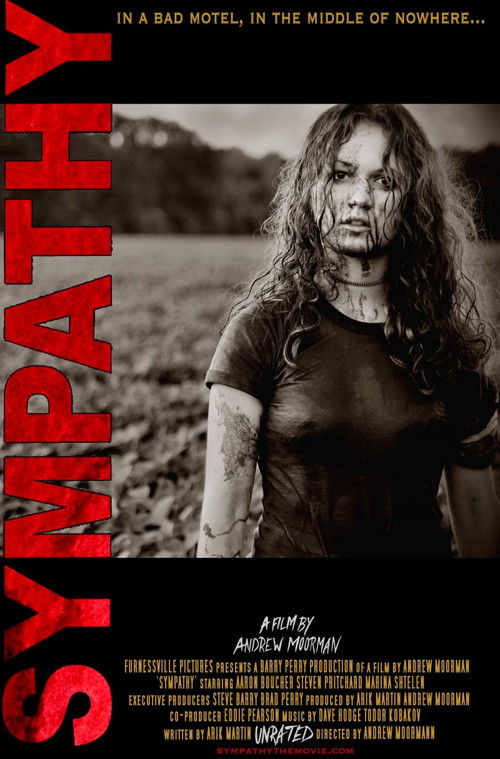 Sympathy (2007) poster