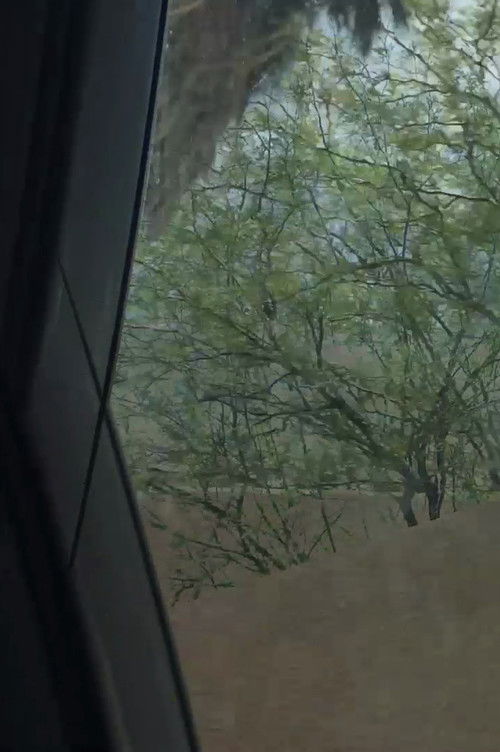 Aridity Enclosure 1 (2017) poster