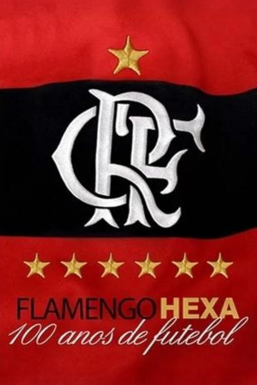Flamengo Hexa: 100 Anos de Futebol (2011) poster