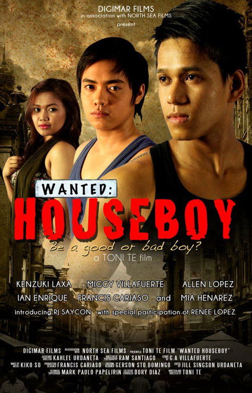 Wanted: Houseboy (2013) poster