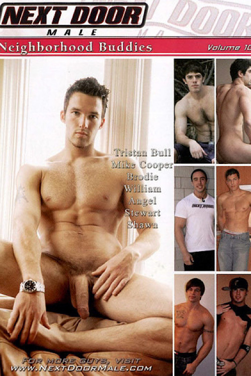 Neighborhood Buddies Volume 10 (2009) poster