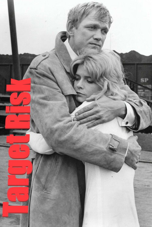 Target Risk (1975) poster