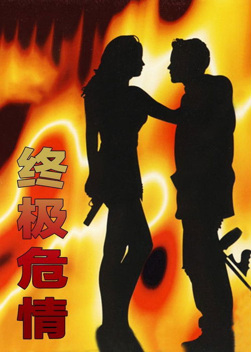 Final Target (1994) poster