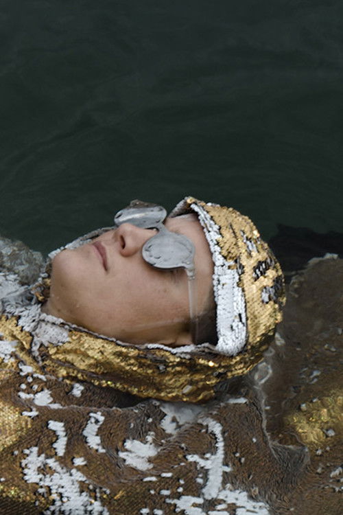 the fouled compass (2020) poster